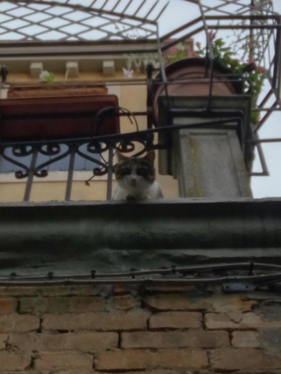 Casa Moresca Βενετία Εξωτερικό φωτογραφία